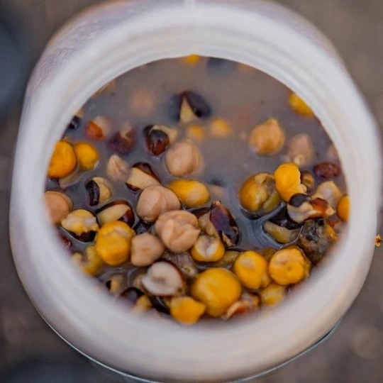 NASH Large Seed Mix 6 NASH Large Seed Mix - Afbeelding 4