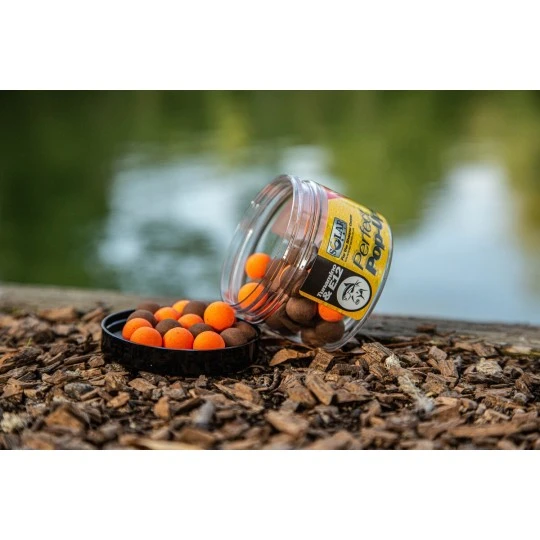 SOLAR Perfect Pop-Ups TUNAMINO & E12 3 SOLAR Perfect Pop-Ups TUNAMINO & E12