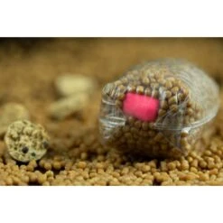 STICKY BAITS Buchu-Berry Wafters 16mm 9 STICKY BAITS Buchu-Berry Wafters 16mm -Fox Shop sticky baits buchu berry wafters 16mm bucw hookbaits 3