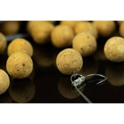STICKY BAITS Manilla Wafters 16mm 9 STICKY BAITS Manilla Wafters 16mm -Fox Shop sticky baits manilla wafters 16mm mw16 hookbaits 3