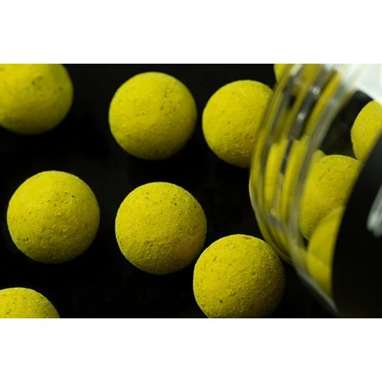 STICKY BAITS Manilla Yellow Ones Wafters 16mm 3 STICKY BAITS Manilla Yellow Ones Wafters 16mm